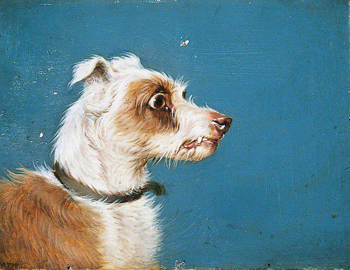 Martin Ward, Public domain, via Wikimedia Commons